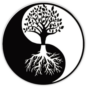 Thierry Le Scoul Garéoult, Coach